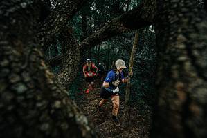 BIB: 
                            <button type="button" onclick="openModal(25685405)" class="btn btn-primary btn-sm float-right btn-popup" data-toggle="modal" data-target=".modal-high-quality">
                        <i class="fas fa-shopping-cart"></i> Add to Cart
                    </button>
                                            <button type="button" onclick="isThisMe(25685405, true)" class="btn btn-success btn-sm float-right btn-popup btn-isme hidden" data-toggle="tooltip" data-placement="bottom" title="นี่คือรูปของคุณใช่ไหม คลิกที่นี่เพื่อเอาเข้าอัลบั้ม">
                        <i class="fas fa-plus"></i> Add to album
                    </button>
                    <button type="button" onclick="isThisMe(25685405, false)" class="btn btn-warning btn-sm float-right btn-popup btn-isnotme hidden">
                        <i class="fas fa-ban"></i> Remove from album
                    </button>